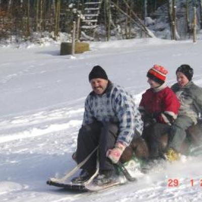 Schlittenfahren 29012005 20150402 1129356001
