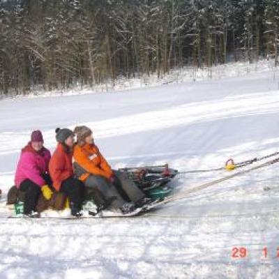Schlittenfahren 29012005 20150402 1860162854